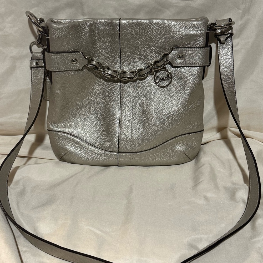 Coach Metallic Crossbody Bag with Chain Accent